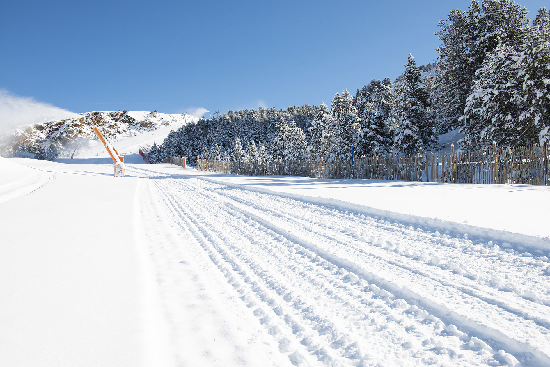 different types of snow