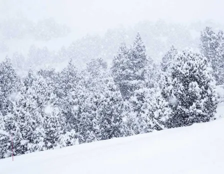 Grandvalira landscape