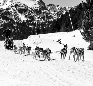 Grandvalira-mushing-1