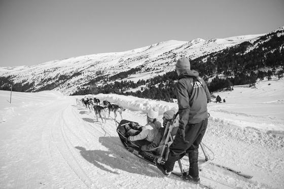 Mushing Grandvalira