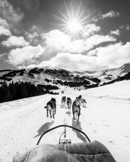 Grandvalira-mushing